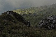 65 Terminata qui la ripida salita a vista su scoscesi pratoni e facili roccette e sono in cresta di vetta 